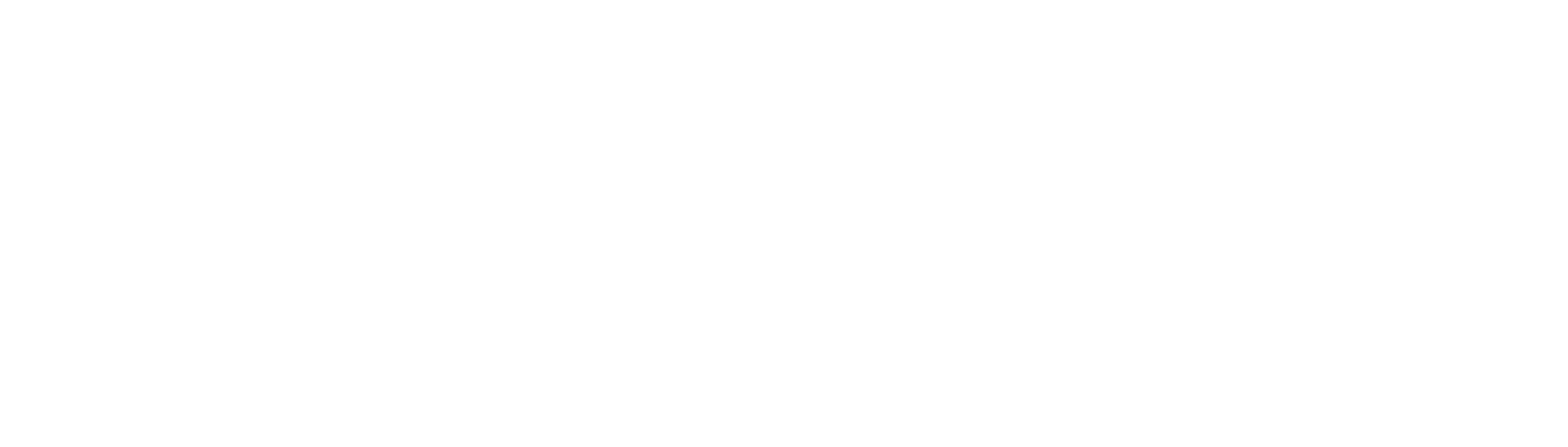 Logo Wevo Media